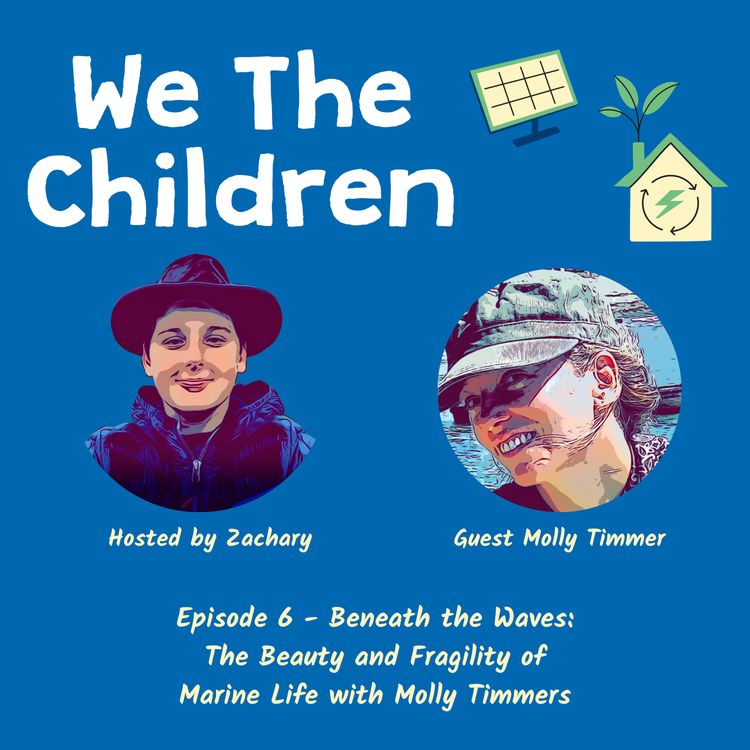 cover art for Beneath the Waves: The Beauty and Fragility of Marine Life with Molly Timmers