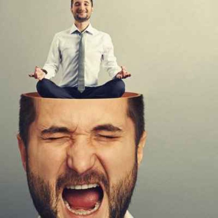 cover art for کنترل خشم