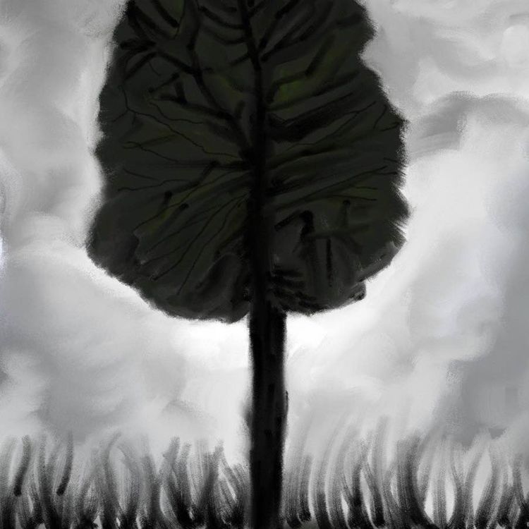 cover art for متوری ۳۵
