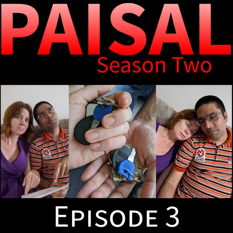 cover art for Domesticated