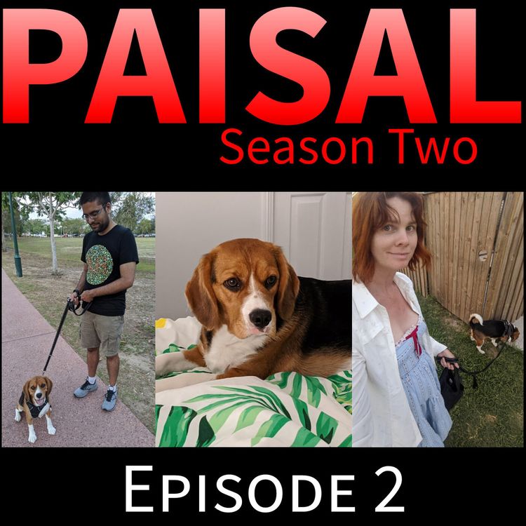 cover art for Swan Song