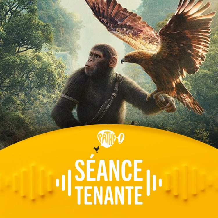 cover art for Le retour fulgurant de La Planète des Singes au cinéma !