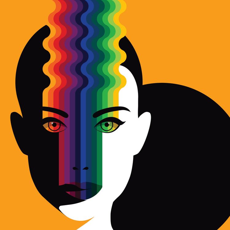 cover art for We say gay.