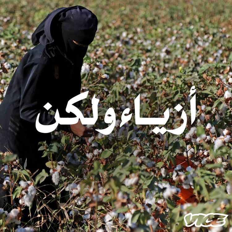 cover art for القطن المصري: تاريخه وسياسته المتشابكة