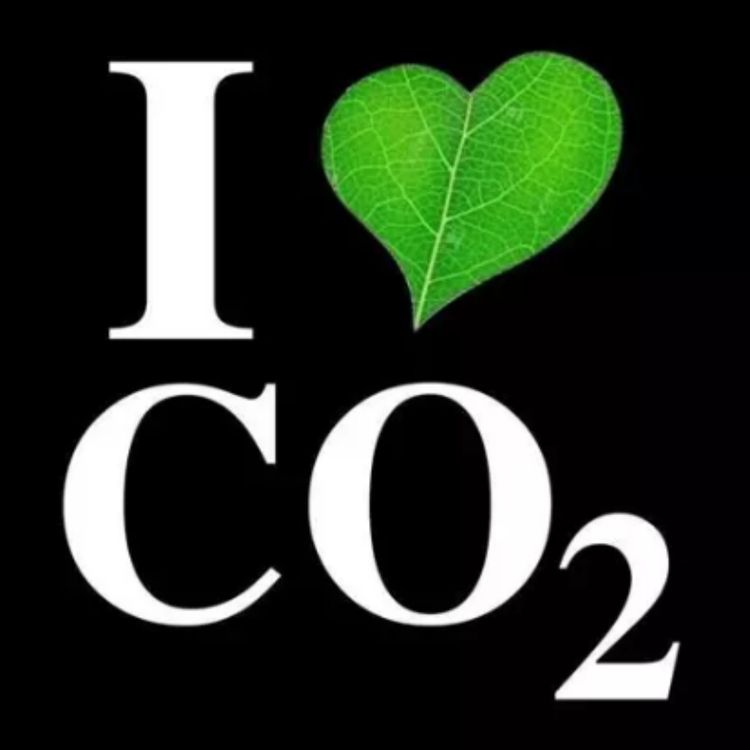 cover art for 80: COMENTARIOS