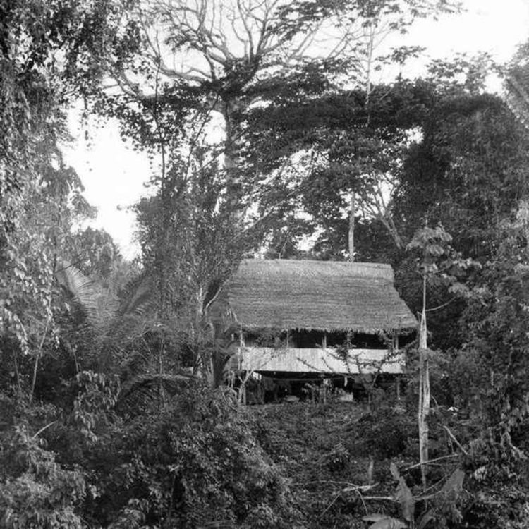 cover art for His2Go#221 - Das Mädchen, das vom Himme fiel: Juliane Koepckes Absturz im Amazonas