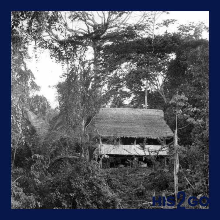 cover art for His2Go#221 - Das Mädchen, das vom Himme fiel: Juliane Koepckes Absturz im Amazonas