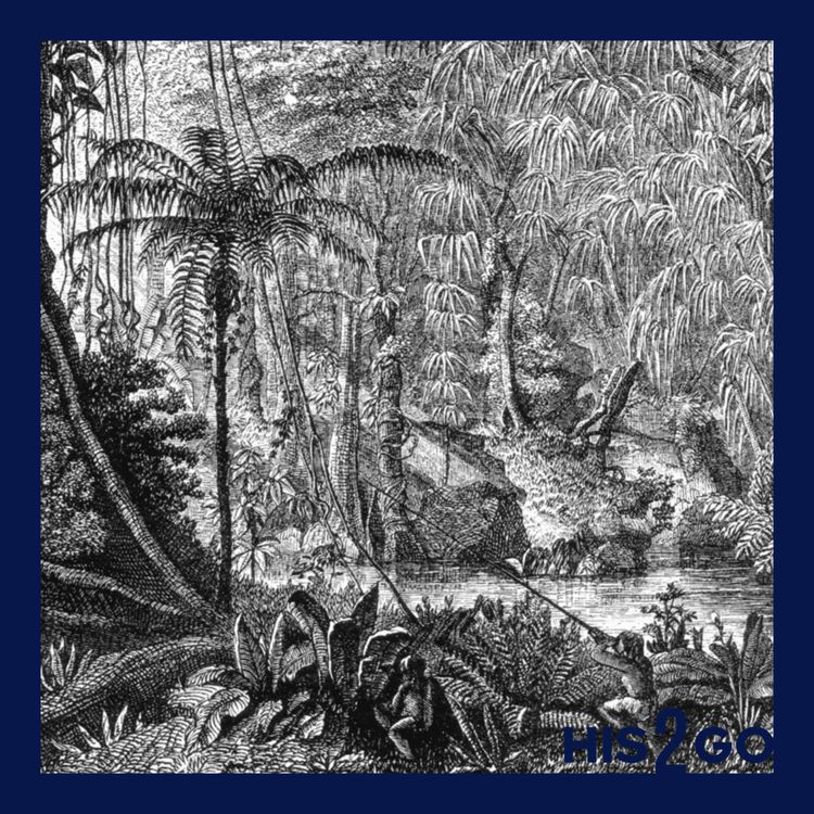 cover art for His2Go Revisited (4/4) - Die verschollene Amazonas-Stadt