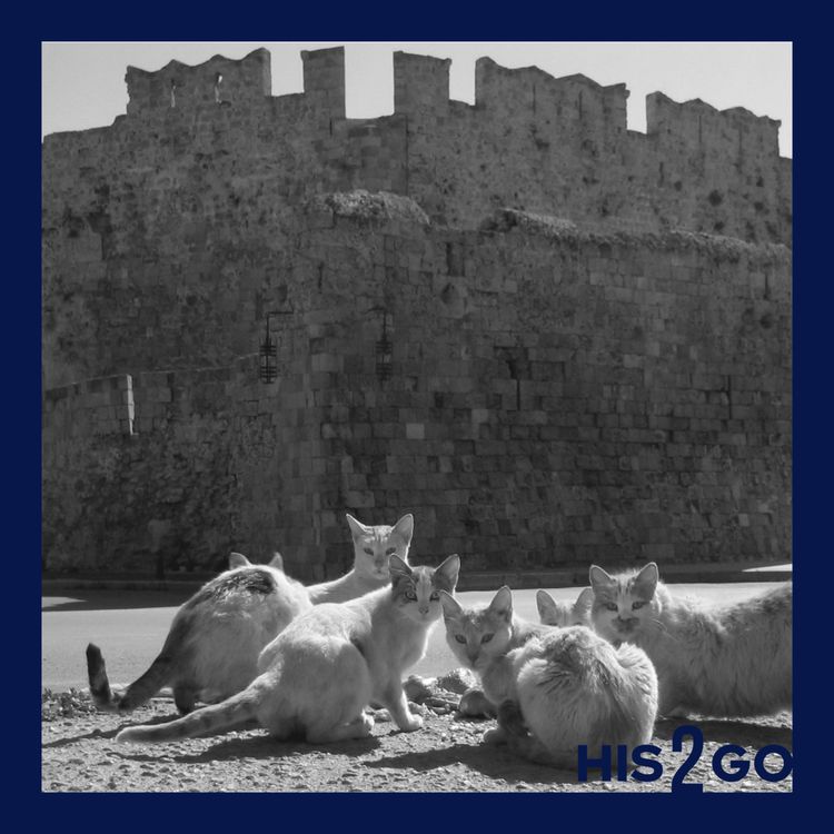 cover art for His2Go#243 - Wie die Katze zum Menschen kam