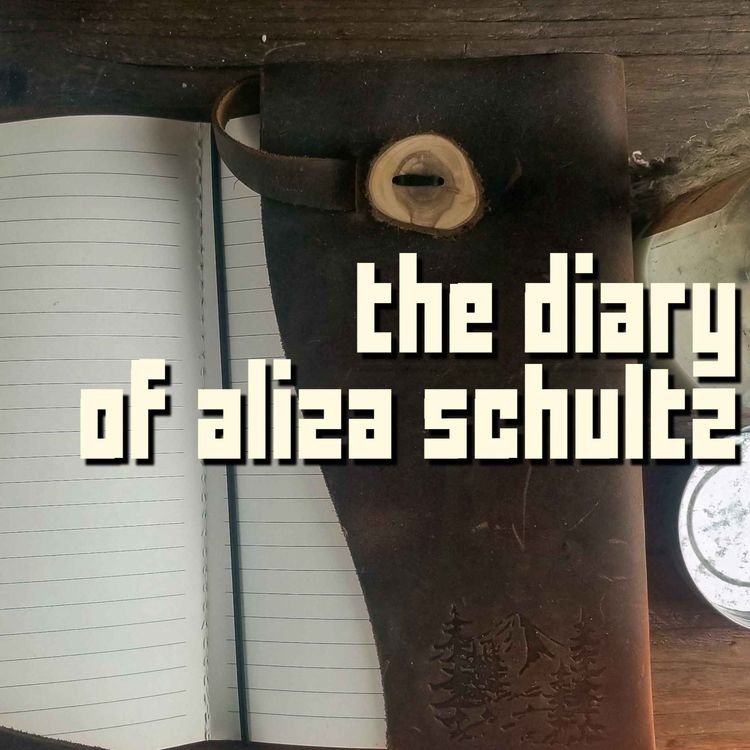 cover art for The Diary Of Aliza Schultz Season 1 Trailer