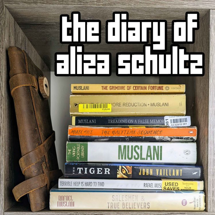 cover art for The Diary Of Aliza Schultz Has Joined The Rusty Quill Network!