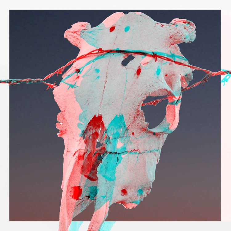 cover art for Cowboys, A Selection Of Rootin' Tootin' WOE.BEGONE Songs, Is Available Now On Bandcamp!