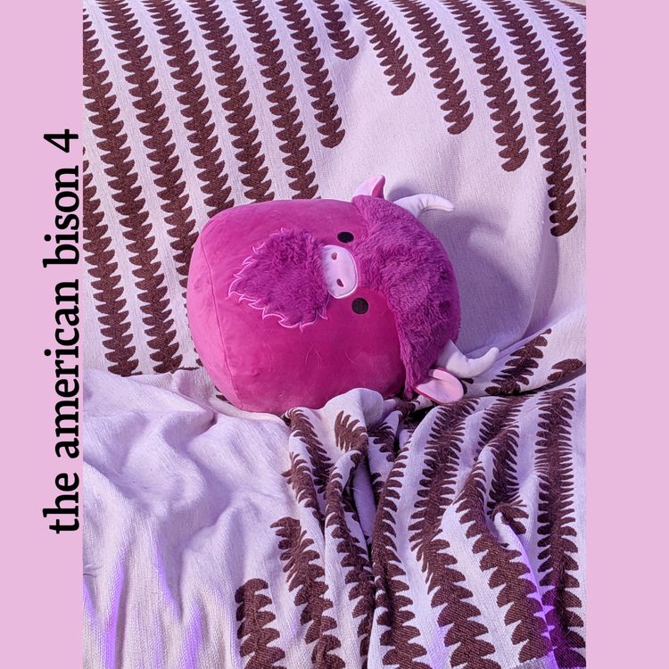 cover art for [INTERMISSION XXXIX] The American Bison 4