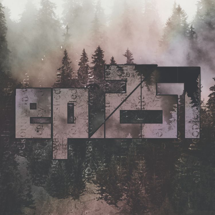cover art for 251: Castor