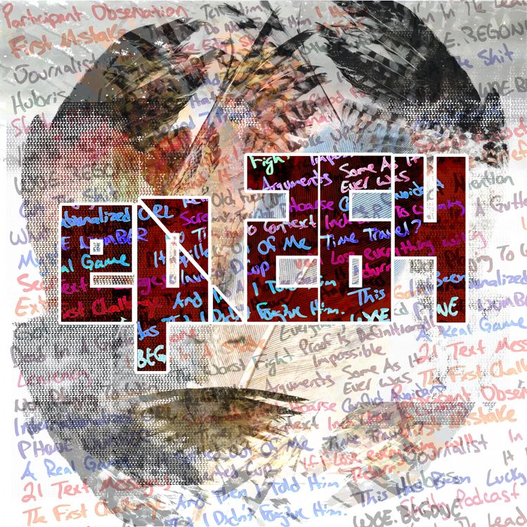 cover art for 264: Participant Observation (Pt. 2)