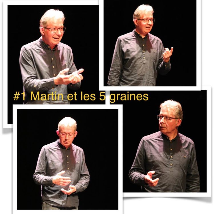 cover art for Martin et les 5 graines