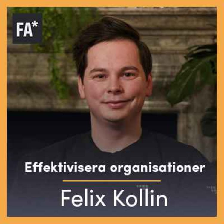 cover art for Effektivisera organisationer - Felix Kollin