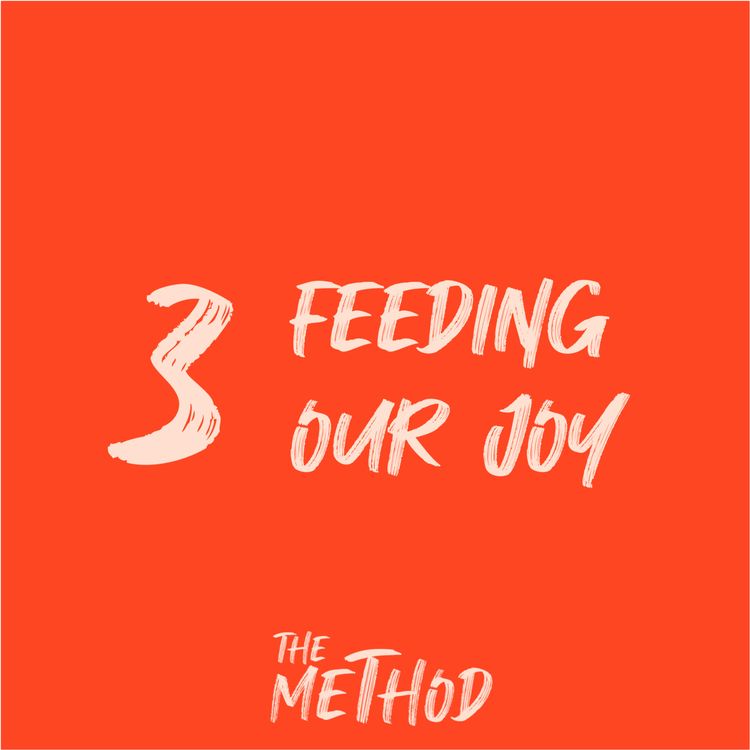 cover art for The Method 3/6 : Feeding our joy