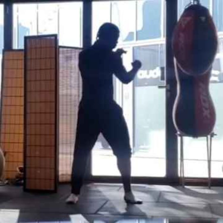 cover art for He Got Game