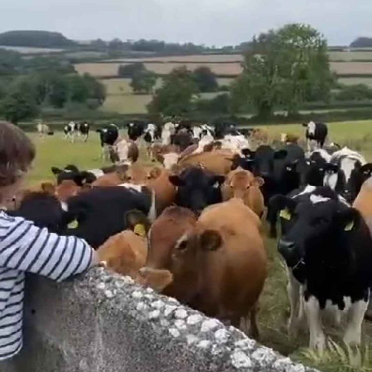 cover art for Red Bead Road Trip