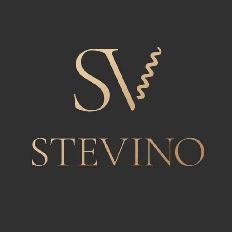 cover art for LSDGN - Stevino - 27 avril 2022