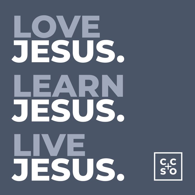 cover art for Vision | Learn Jesus | Steve Harvey