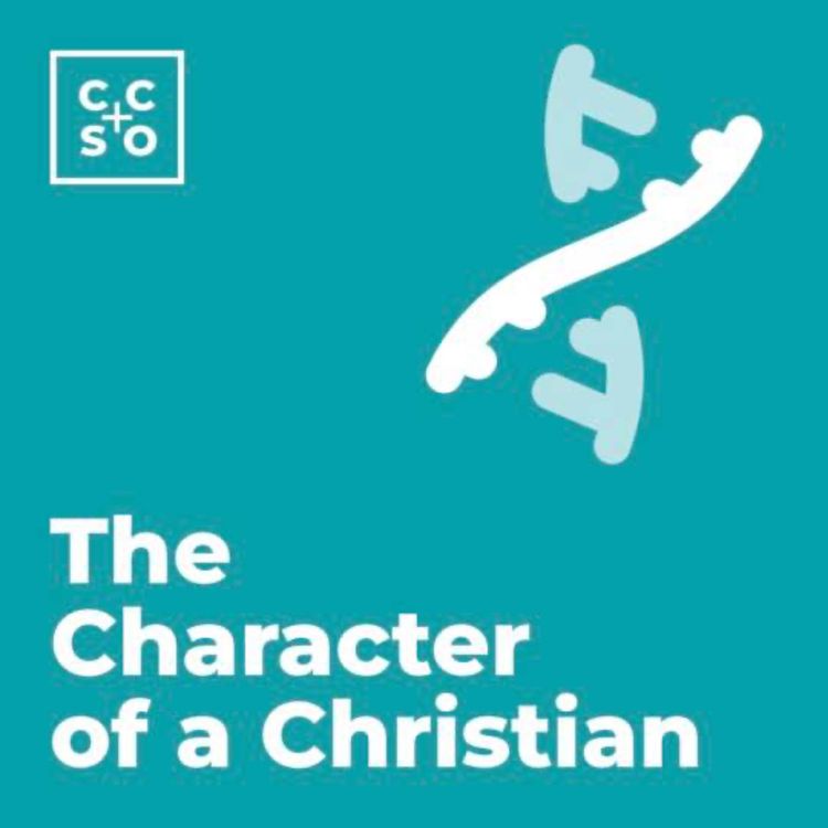 cover art for The Character of a Christian | Counting the Cost | Steve Harvey