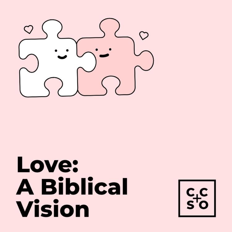 cover art for Love: A Biblical Vision | Singleness in Christ | Steve Harvey