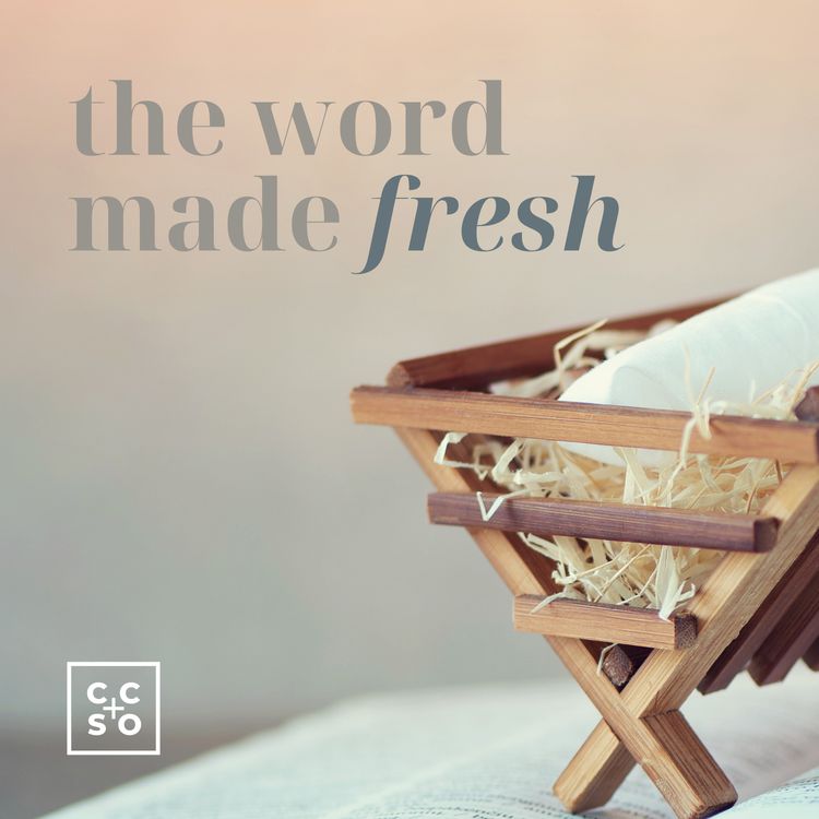 cover art for The Word Made Fresh | The Light Giver | Steve Harvey