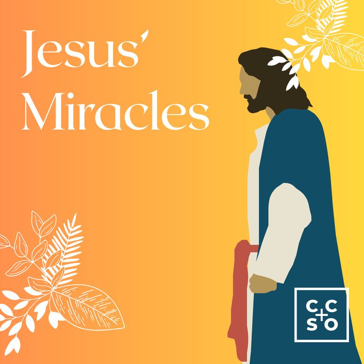 cover art for Jesus' Miracles | The Raising of Lazarus | Nivern Mpofu