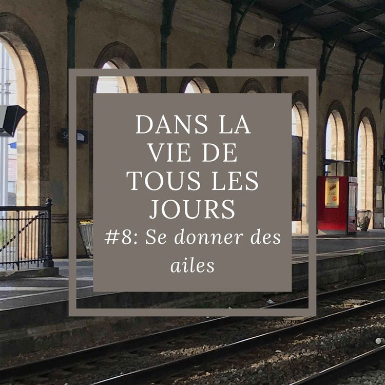 cover art for DVTJ#8 : Se donner des ailes