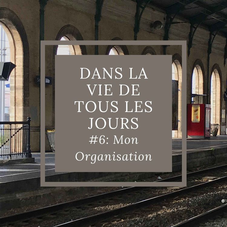 cover art for DVTJ#6 : Mon Organisation