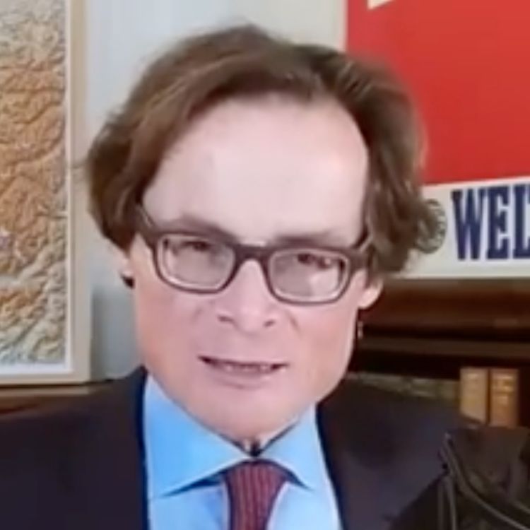 cover art for Das AfD- und Orban-Verblödungssyndrom in der deutschen Politik – Daily-Spezial