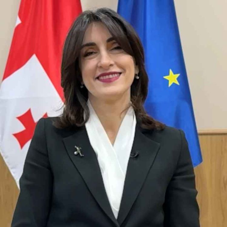 cover art for «Niemals Krieg»: Georgiens Aussenministerin Maka Botschorischwili über Kleinstaaten und Raubtiere