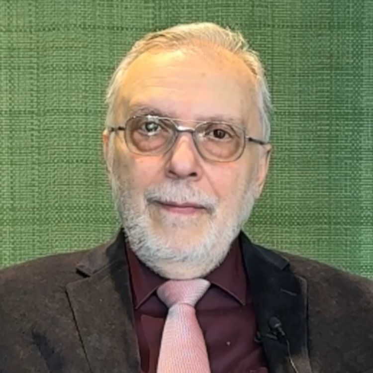 cover art for «Korridor nach China»: Ex-Wirtschaftsminister Vladimer Papava über Georgiens ökonomische Stärken