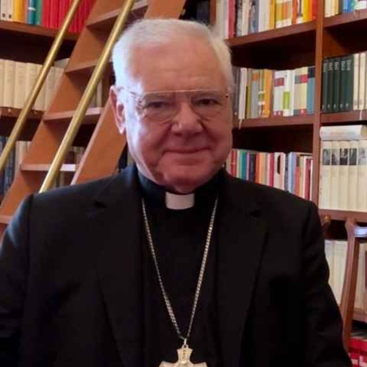 cover art for «Die EU-Eliten sind anti-christlich»: Kardinal Müller über Europa, Friedrich Merz und Kirchen gegen die AfD