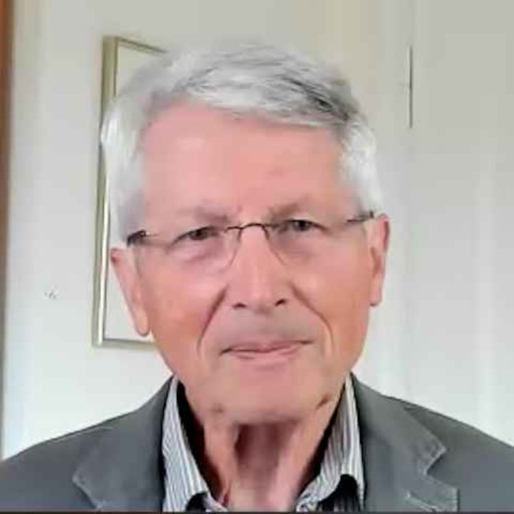 cover art for «Wie der Verfassungsschutz vorgeht, ist strafbar»: Prof. Dietrich Murswiek über das AfD-Gutachten und die Demokratie