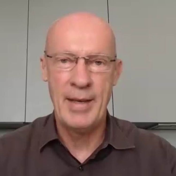 cover art for «Faktisch ein Oppositionsverbot»: Anwalt Joachim Steinhöfel über das AfD-Gutachten