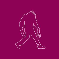 cover art for رادیو گیبون / radio gibbon