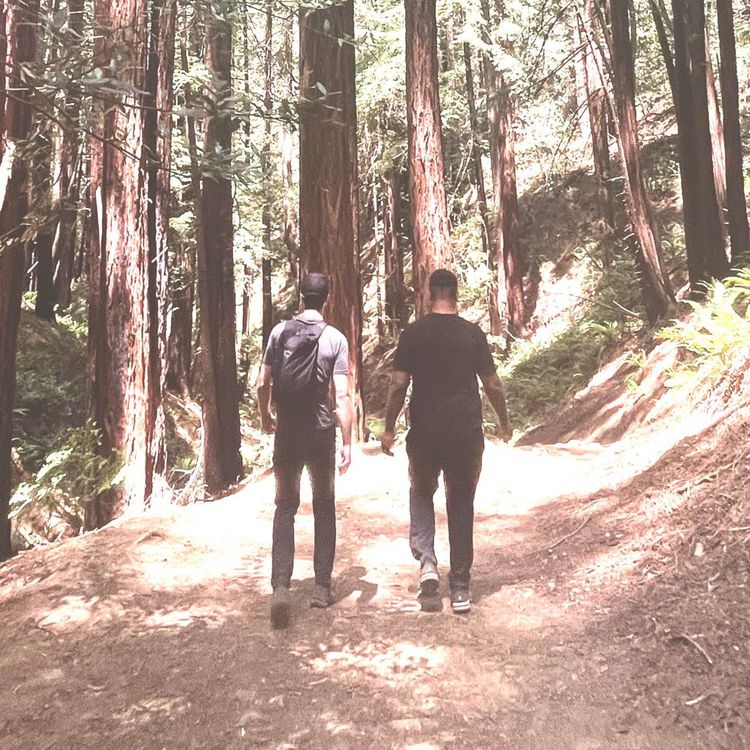 cover art for 01: Conversations to better wellness