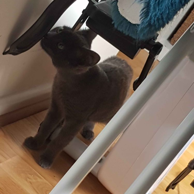 cover art for Ridiculous first day of school