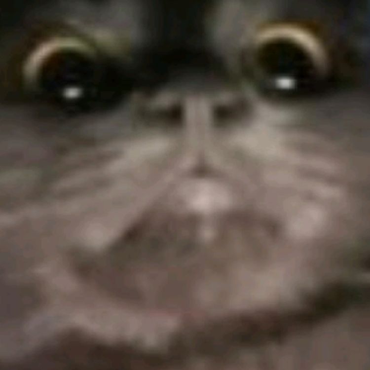 cover art for I forgot