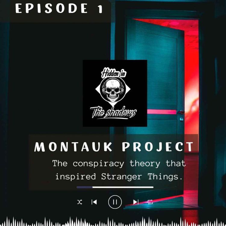 cover art for Montauk Project