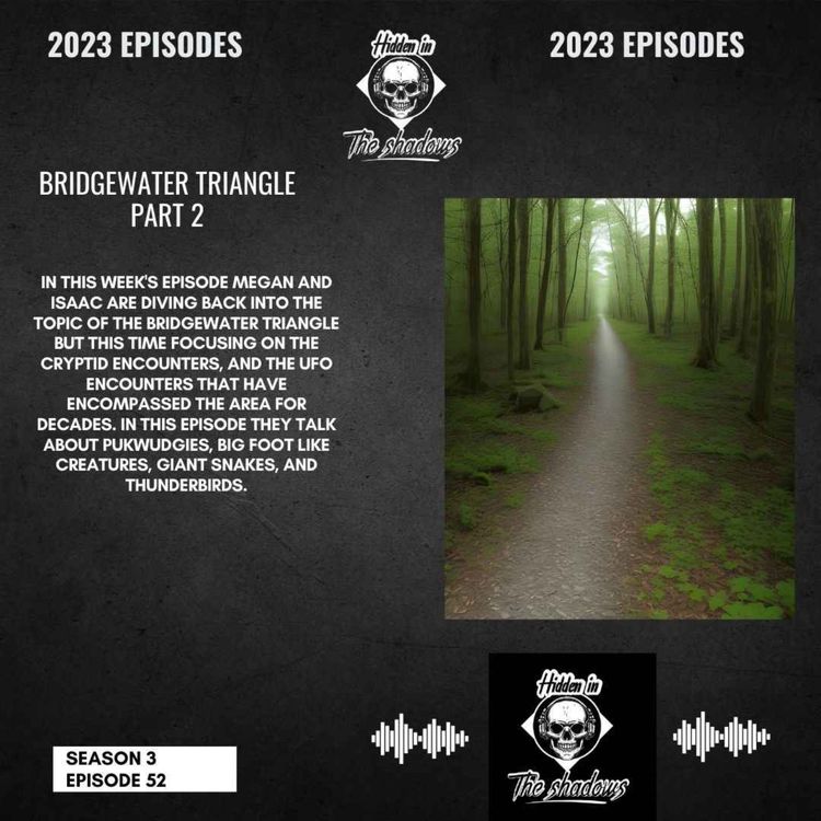 cover art for Bridgewater Triangle Part 2