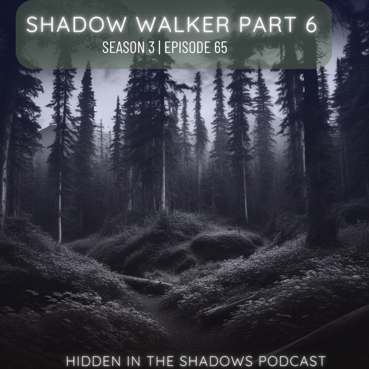 cover art for Shadow Part 6