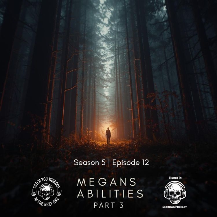 cover art for Megan’s Abilities Part 3