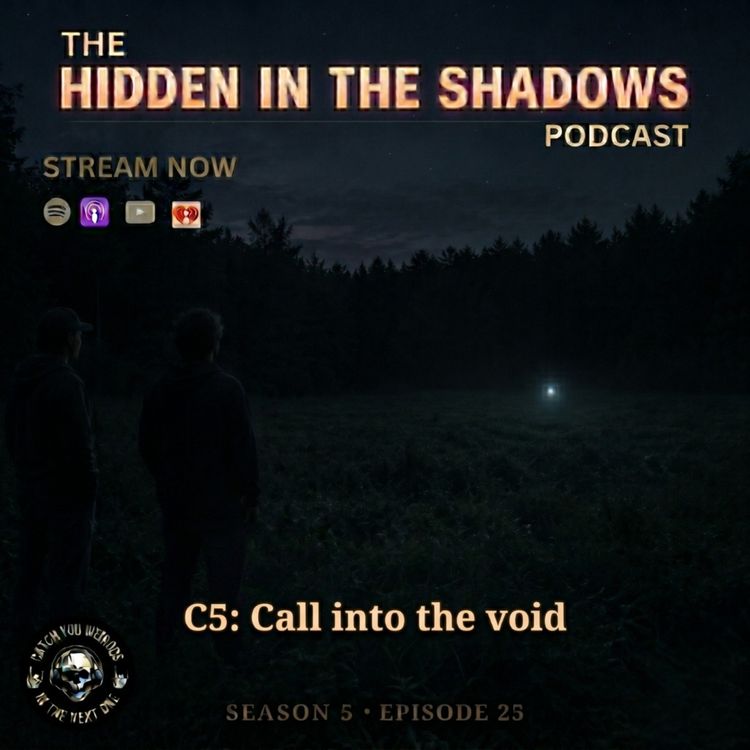 cover art for C5: Call Into The Void