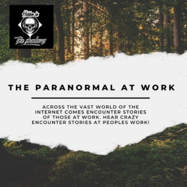 cover art for Paranormal At Work