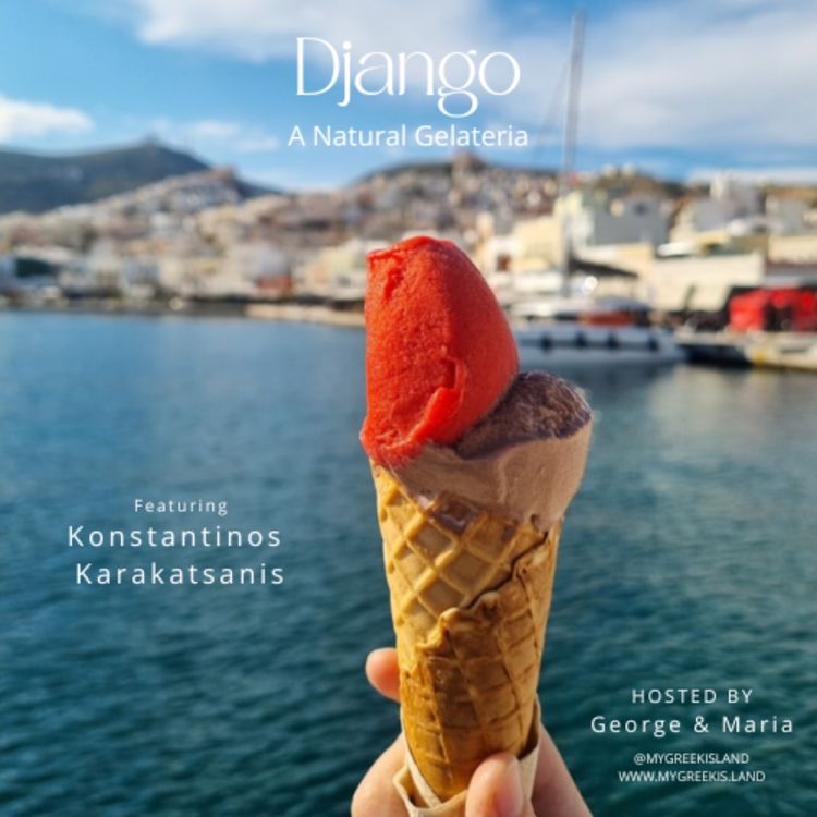 cover art for Django