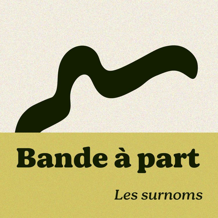 cover art for les surnoms